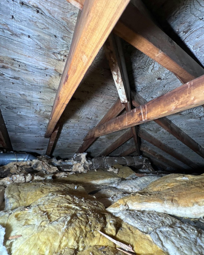 Interior de un desván con vigas de madera y aislamiento antiguo de fibra sobre el suelo